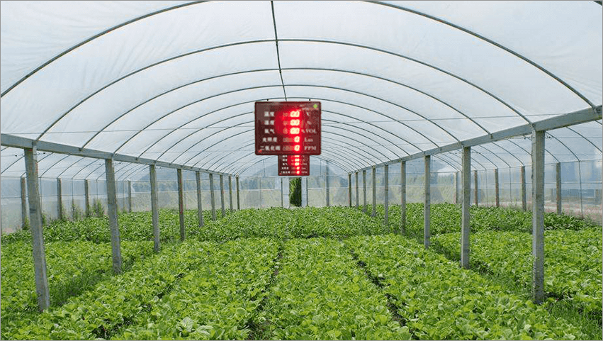 农业种植温室大棚